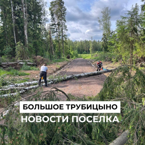 Земля в квадрате - Устраняем последствие урагана в Московской области.